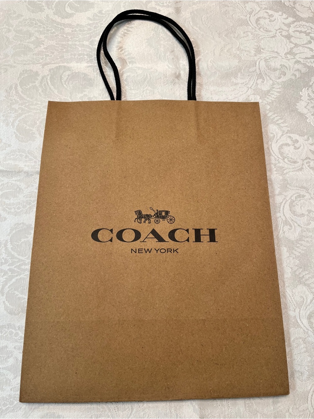 Coach Gift Bag